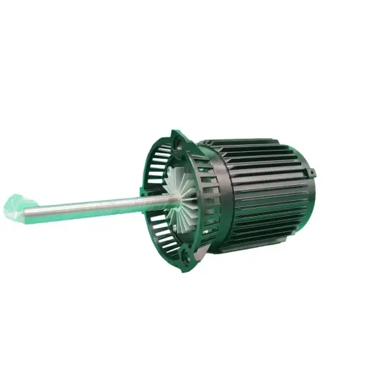 High Temperature AC Motor