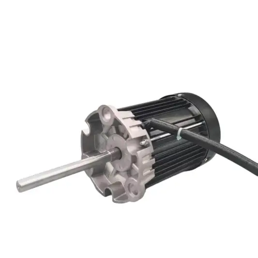 High Temperature AC Motor