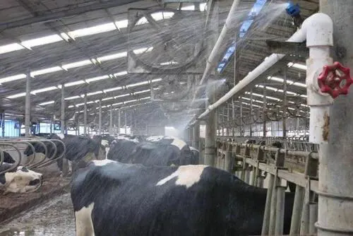 EC Motor Design for Cattle Farm Ventilation Systems