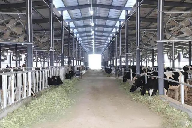 EC Motor Design for Cattle Farm Ventilation Systems