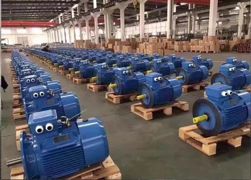 Analysis of Structure and Performance Characteristics of Induction Motors