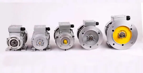 AC Induction Motor Design for Packaging Machinery
