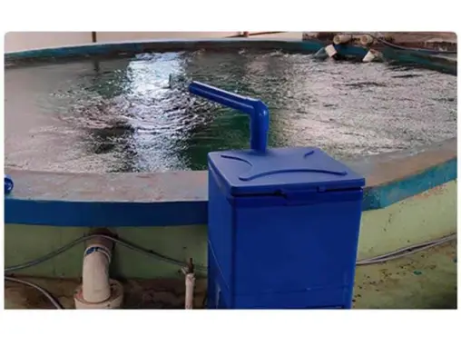 Design and Application of Brushless Motors in Aquaculture Feeding Equipment