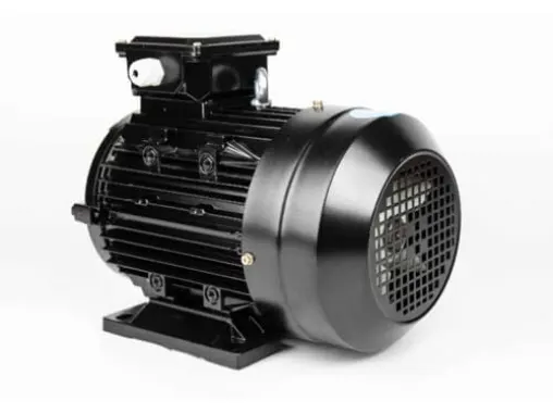 High-Speed Motors: Basic Types and Characteristics