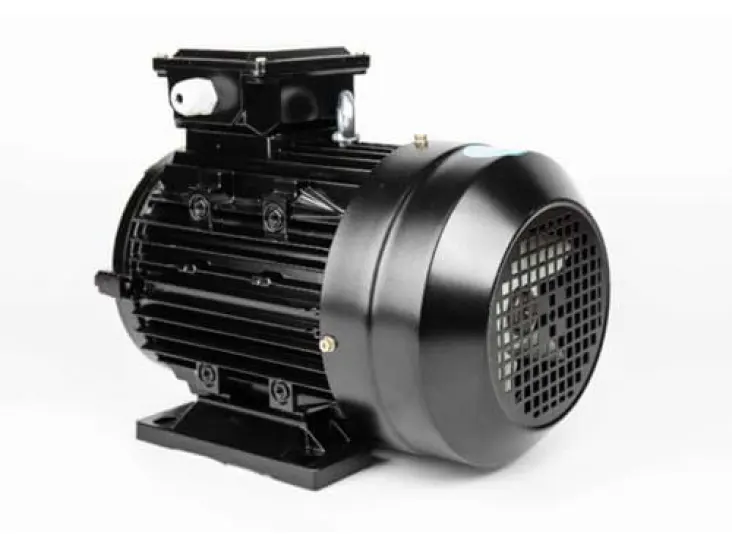 High-Speed Motors: Basic Types and Characteristics