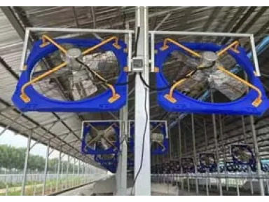 What's the Difference Between AC and EC Fans?