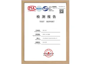 TDSVG-10-18000 测试报告