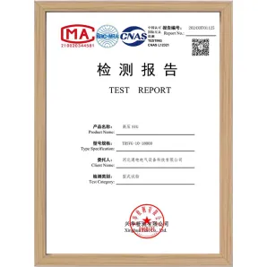 TDSVG-10-18000 测试报告