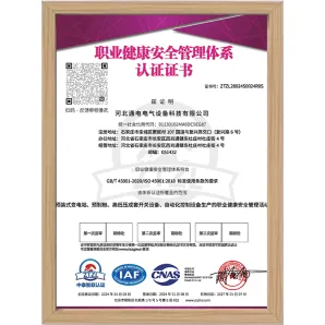 职业健康体系证书