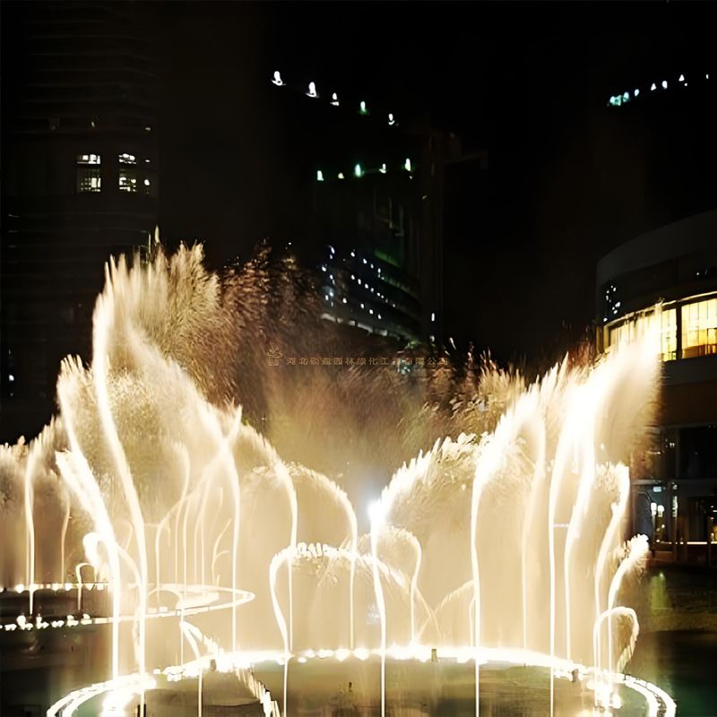 Music fountain customization precautions