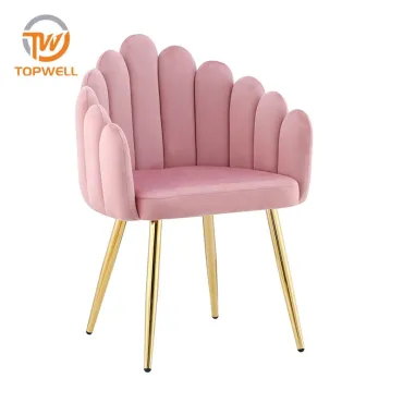 เก้าอี้ทานอาหาร ขาผ้ากำมะหยี่ สี Powder Coating DC-7314