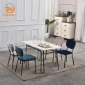 Esstisch MDF mit lackiertem Pulverbeschichtungsbein DT-2331