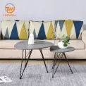 โต๊ะกลาง MDF ปิดผิววีเนียร์กระดาษ ขาเคลือบสีฝุ่น CT-316