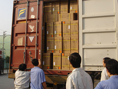 Safe Shipment Tracking Axnew