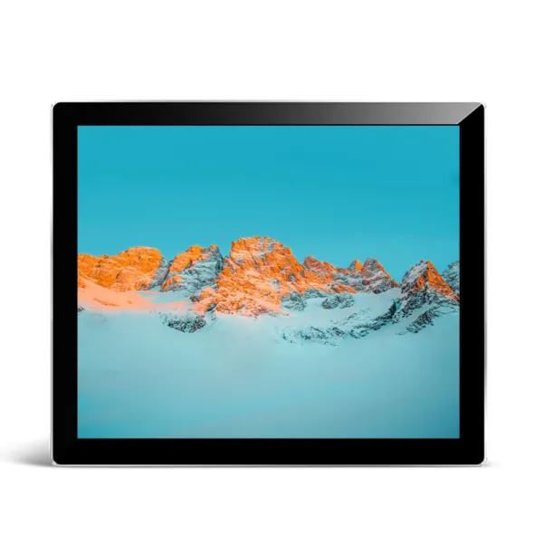19 Cola IP65 Tuŝekrana Monitoro 600nitoj kun IPS-ekrano