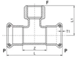 Female Tee Diagram 2