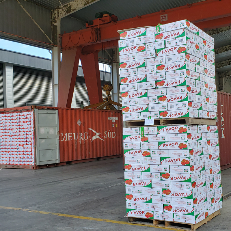 Pâte de tomate en étain concentrée à double ouverture facile de haute qualité 28-30% Brix en conserve