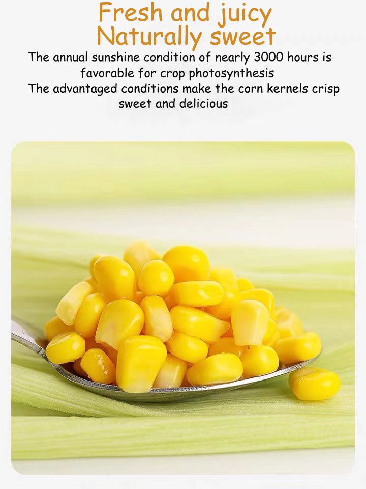 Factory price Canned Vegetables Sweet Kernel Corn OEM Brand