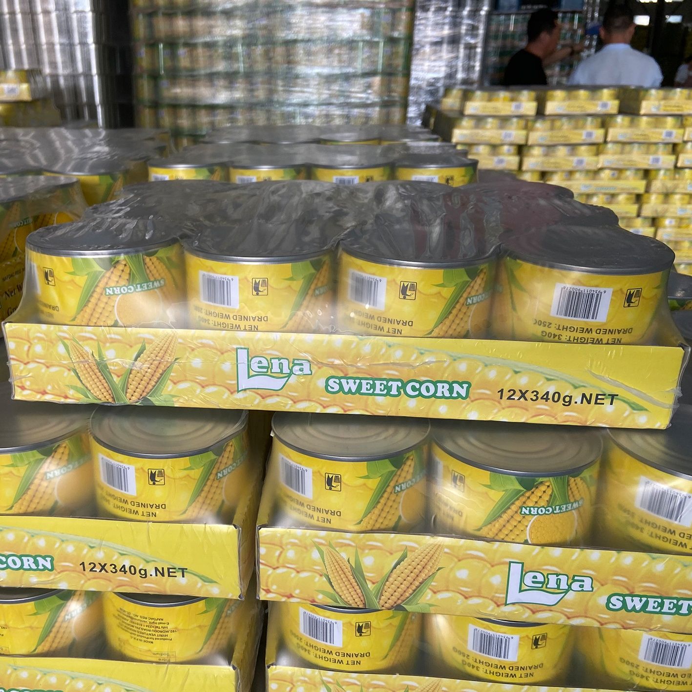 Manufacturer 340g/250g canned Sweet Corn