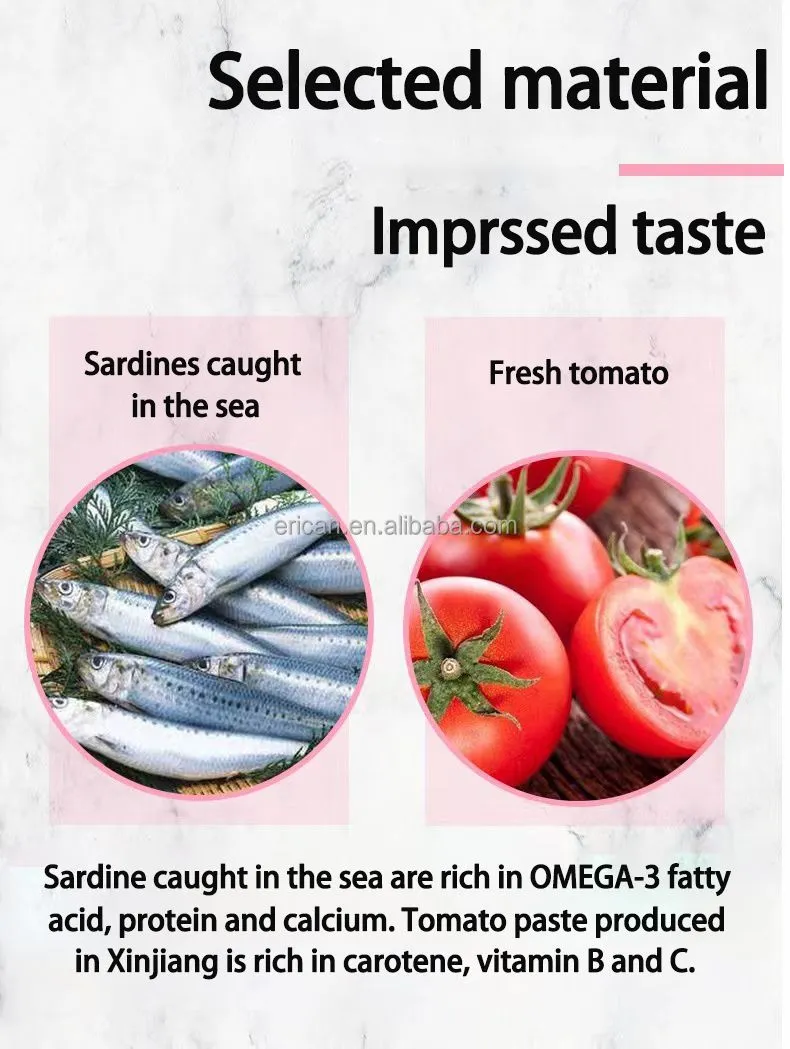 Factory price Canned Mackerel in Tomato Sauce