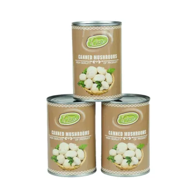 wholesale Manufacturer cheap price canned mushroom