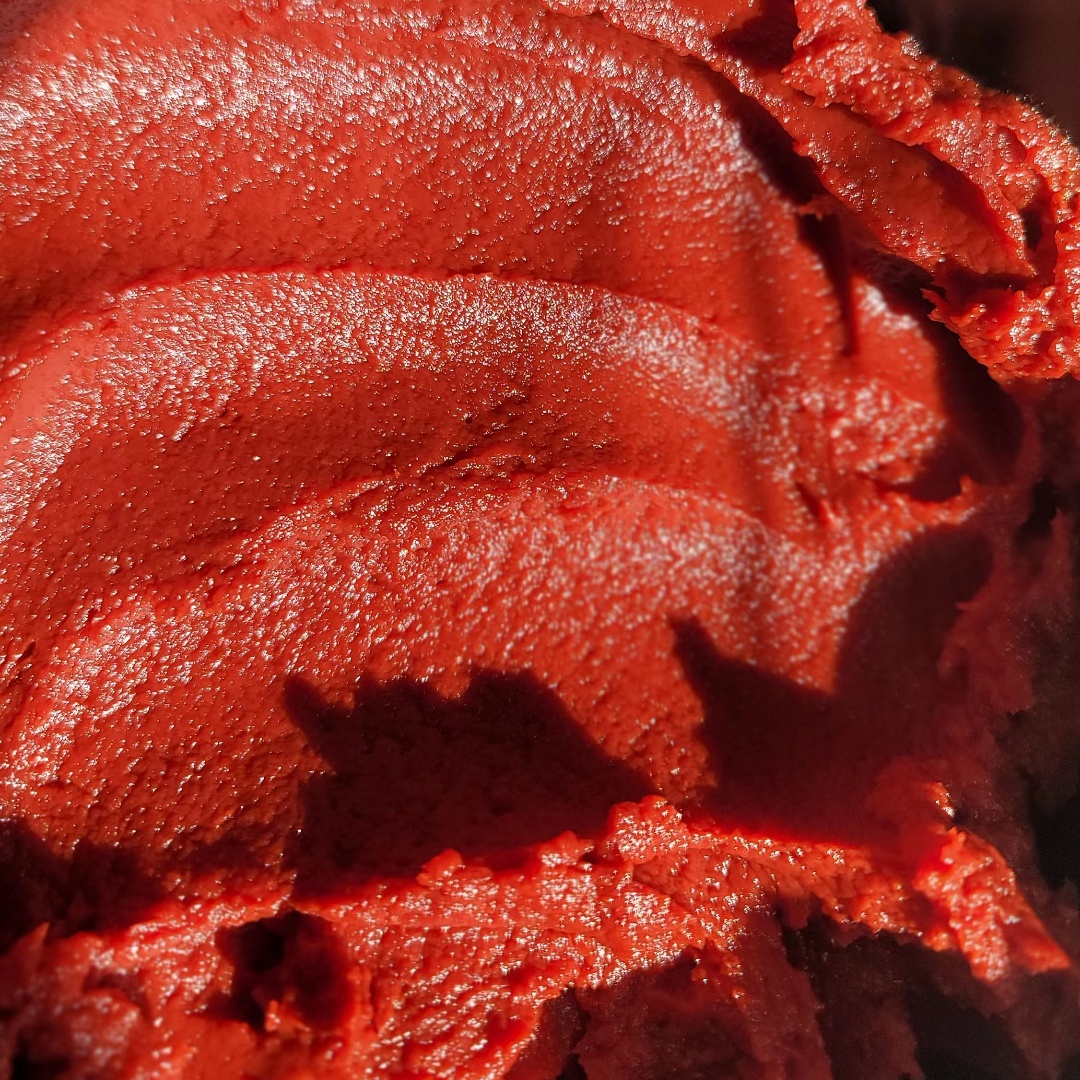 Analysis of the Major Tomato Paste Importing Countries in the World in 2025