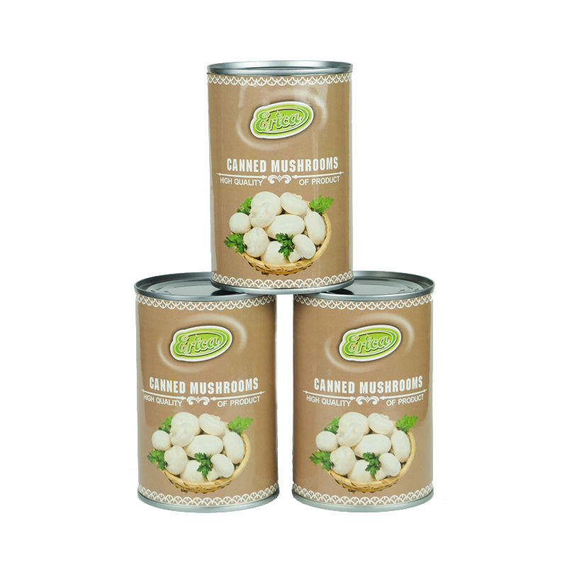 High-Quality Mushroom Canned Products for Africa and Middle East Markets