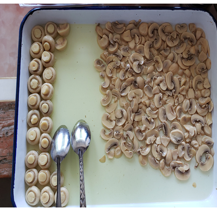 High-Quality Mushroom Canned Products for Africa and Middle East Markets