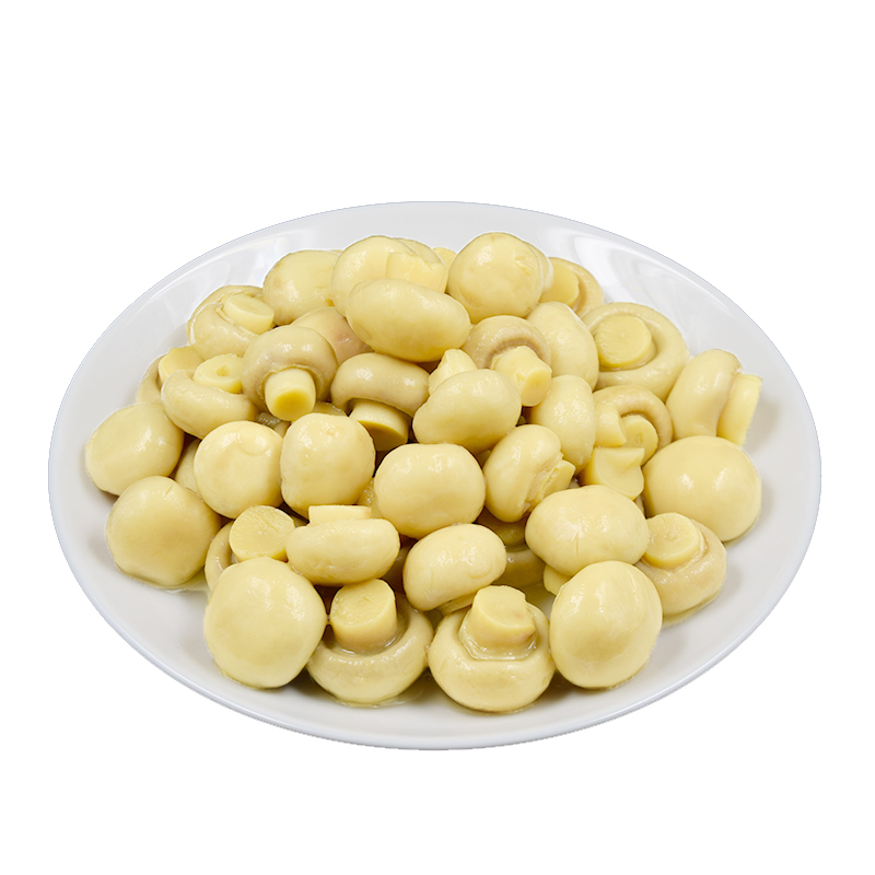 High-Quality Mushroom Canned Products for Africa and Middle East Markets