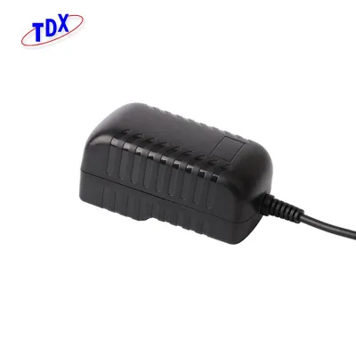 Izmjenjivi utikač Napajanje-24W serija