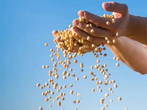 Талбайн ургац: улаан буудайн газар: улаан буудайн, эрдэнэ шиш, будаа, будаа, шар буурцаг, төмс, төмс гэх мэт