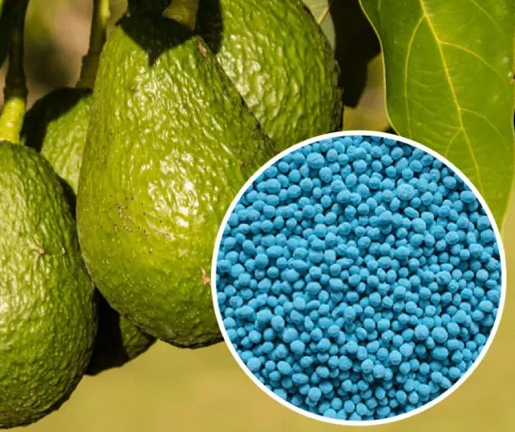 {npk compound fertilizer}