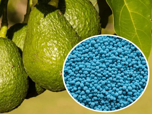 Are There Any Risks of Overusing NPK Fertilizers on Crops?