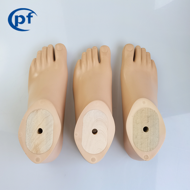 Silicone Prosthetic Solid Ankle Cushion Heel Foot at Rs 16000 in Kolkata