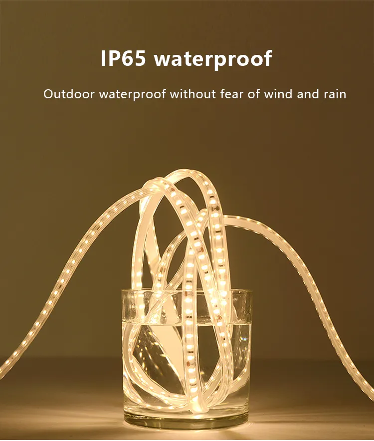 Vente à chaud imperméable IP65 SMD 5050 bande LED flexible Solar Solar DC6V à énergie solaire 3m 5m 10m 20m 25m 30m 50m LED LED LED