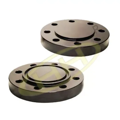 ASME B16.5 Flanges