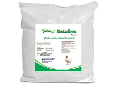 Sucralose Drying