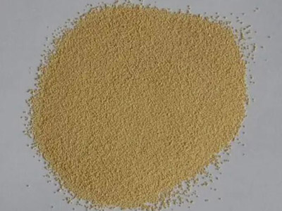 Dried Isatis Root Granules