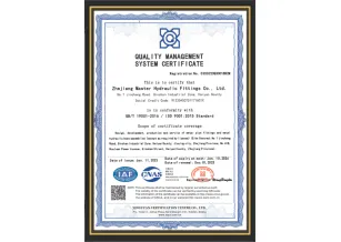 ISO9001