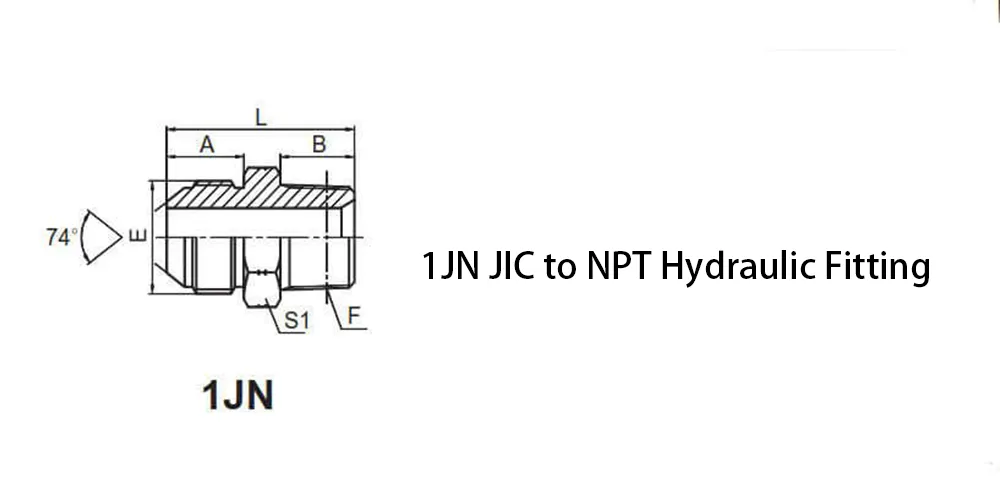 1JN JIC to NPT Hydraulic Fitting