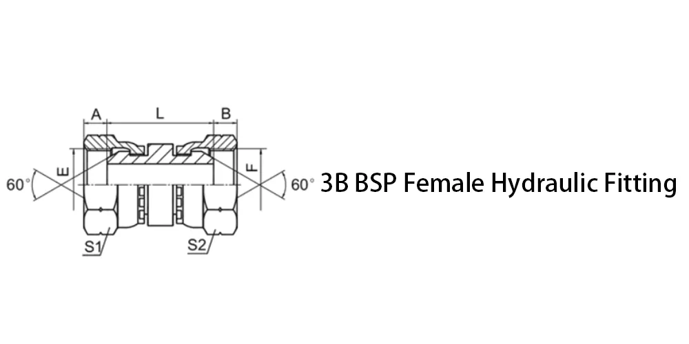 3B BSP Female Hydraulic Fitting