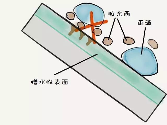 Color-coated panels that can take a bath by themselves - self-cleaning color-coated panels