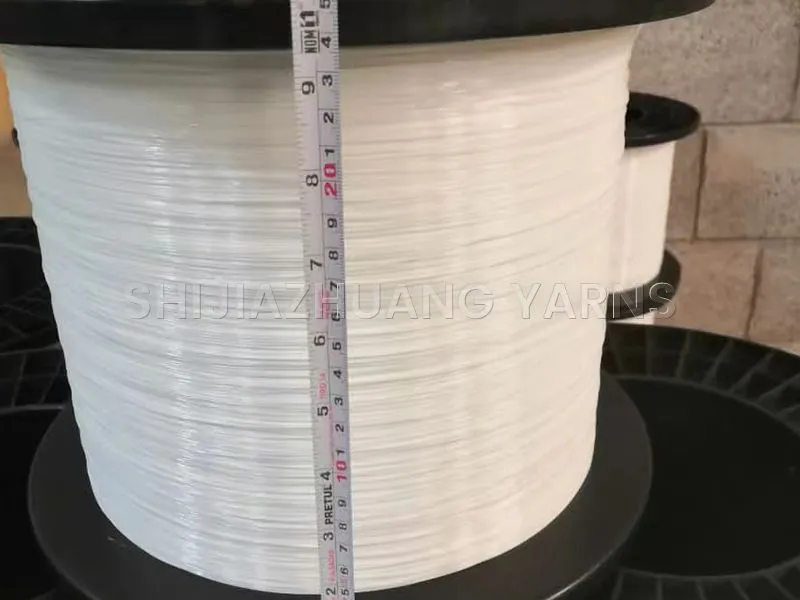 Monofilamento di poliestere