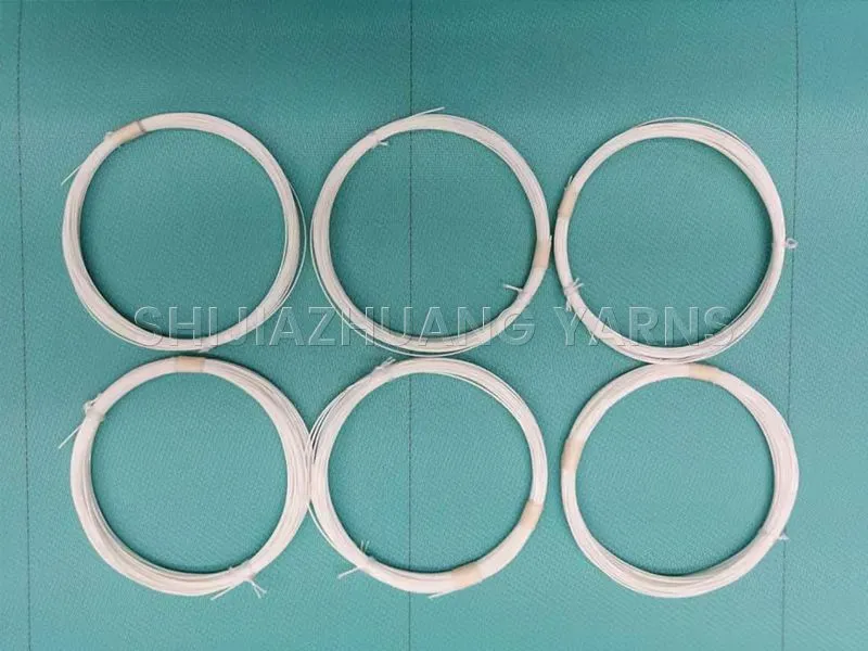 Monofilamento di poliestere