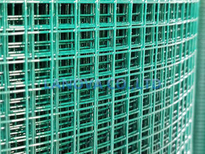 Welded Wire Mesh