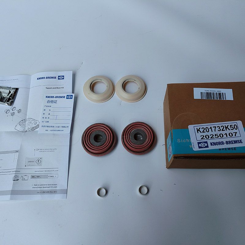 Push Disc Repair Kit (Rear)