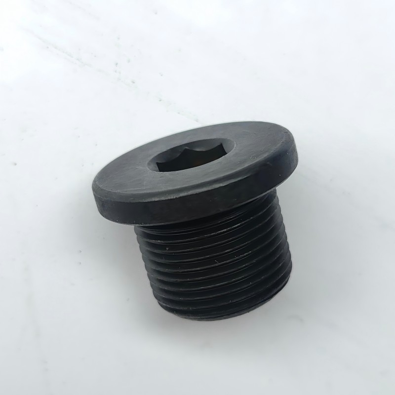 BYDQ63222-2T1F2P1.5_Magnetic Hex Socket Cap Screw