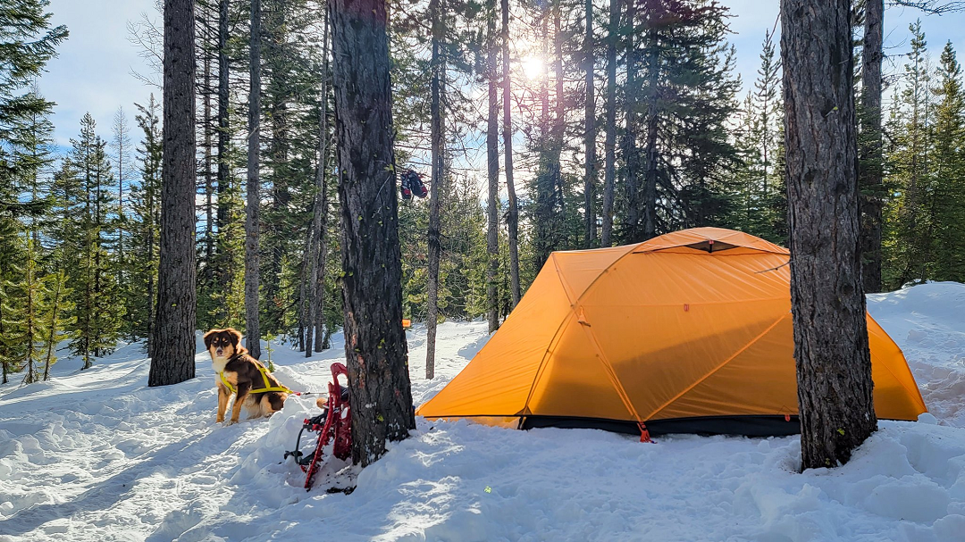 Best Winter Camping Tent