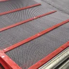 Anti-Clog-Vibrations-Bildschirmnetz