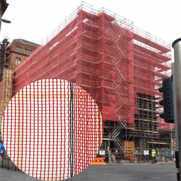 4 Roles of Scaffolding Net